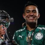 Dudu Palmeiras